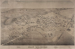 Bird's-eye view of San Marcos in 1881